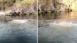 Heybeliada'da korkutan görüntü! Lağım suyu deniz yüzeyine çıktı