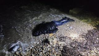 Yer: Aydın! Gören ekiplere haber verdi