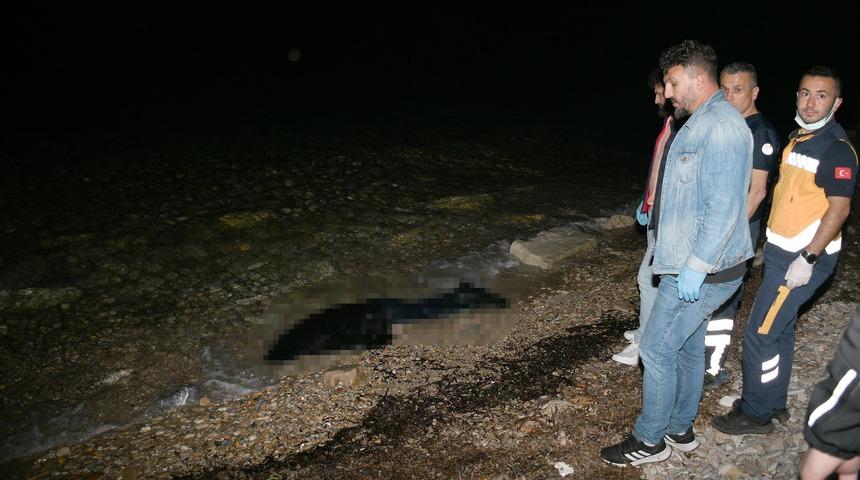 Kuşadası'nda sahile ceset vurdu! Yürüyüşe çıkanlar fark etti