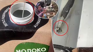 Sütün içinden çıktı böylesi hiç görülmedi! Saniyelerle hayatta kaldı