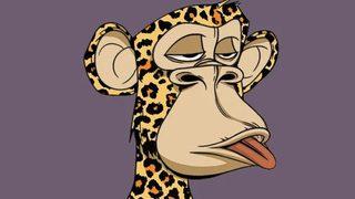 2,8 milyon dolarlık NFT soygunu akıllara durgunluk verdi! Dikkat çeken Instagram detayı...