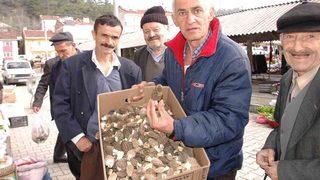 Fiyatını duyanlar toplamaya çıkıyor! Günlük 3 bin lira kazanıyorlar