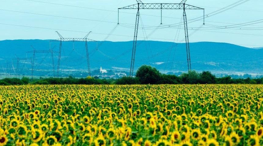 Ukrayna savaşı: Dünya Bankası, savaşın son 50 yılın en büyük fiyat artışına yol açacağı uyarısında bulundu