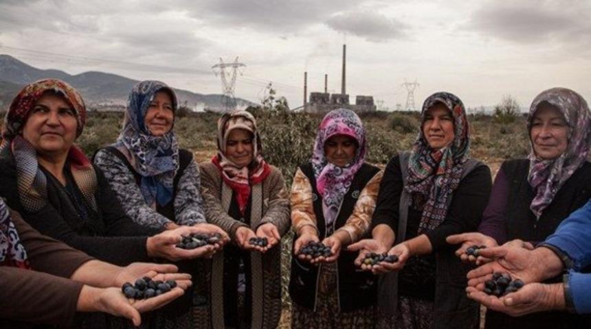 Termik santral projesinde Danıştay kararının gerekçesi belli oldu