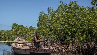 İklim Değişikliği Küresel GSYH'nın %4'ünü Yok Edebilir