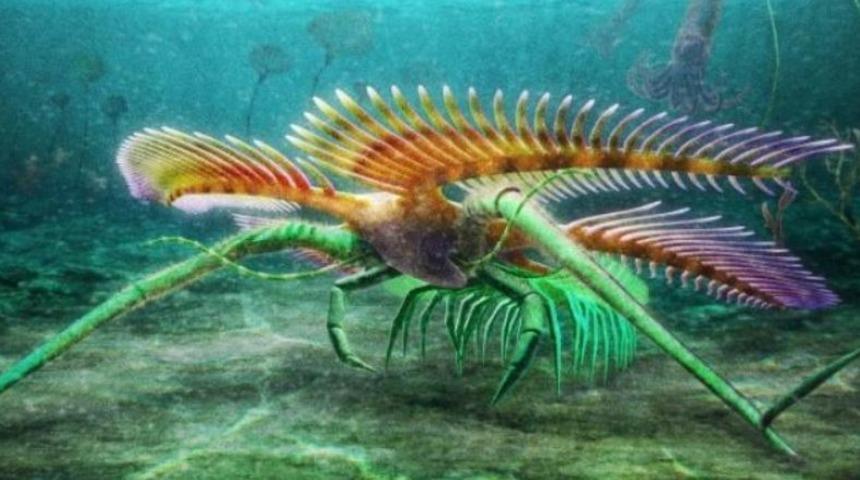 &Ccedil;ok nadir g&ouml;r&uuml;len bir canlıya ait! Kanada'da ortaya &ccedil;ıktı: 450 milyon yıllık