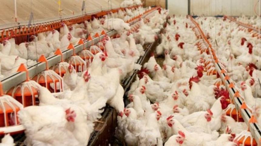 Ukrayna'dan T&uuml;rkiye'ye destek