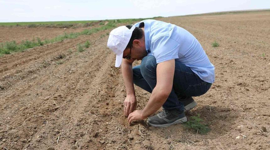 Çiftçilere destek ödemesi yattı mı? Destek ödemeleri ne zaman, saat kaçta yatacak? Bakan Kirişci açıkladı! 29 Nisan 2022 Cuma