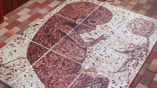 Kendi adet kanını kullanarak 9 ayda resim yaptı!