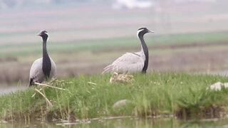 Geçen sene 17 yıl sonra bir ilk gerçekleşmişti! Bu sene de aynı yere geldi