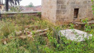 Geçmişi 800 yıl öncesine dayanıyor! 1 yılda ziyarete açılacaktı, yabani ot ve ağaçlardan neredeyse gözükmüyor