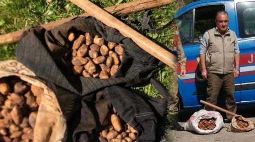 Yakayı ele verdiler! Tam 872 bin TL ceza kesildi