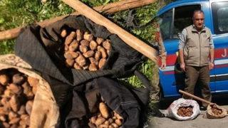 Yakayı ele verdiler! Tam 872 bin TL ceza kesildi