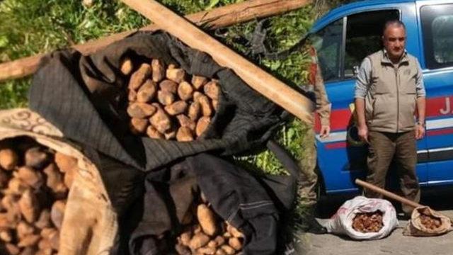 Yakayı ele verdiler! Tam 872 bin TL ceza kesildi