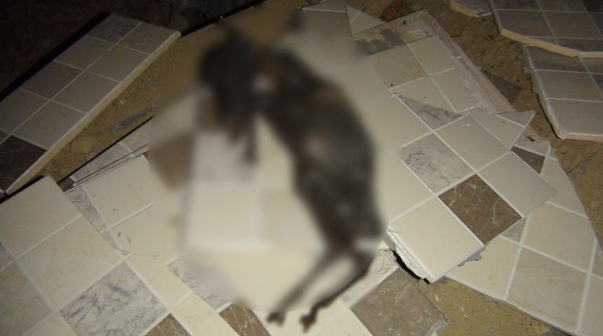 Yolda yürürken neye uğradığını şaşırdı, gerçek sonra anlaşıldı! 'Yanmış haldeydi, neye benzediğini bilemedim'