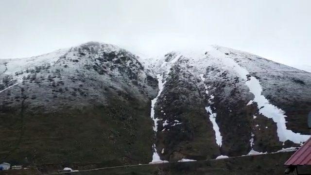 Mayıs ayında kar sürprizi! Anzer Yaylası beyaza büründü