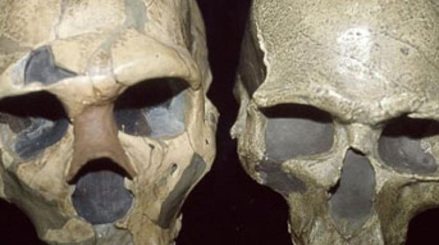 'Gözleri büyük olduğu için yok oldular'