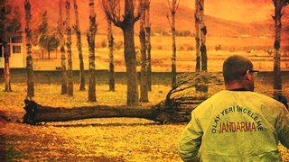 Kavak bahçesinde kahreden olay! Hemen haber verilse de...