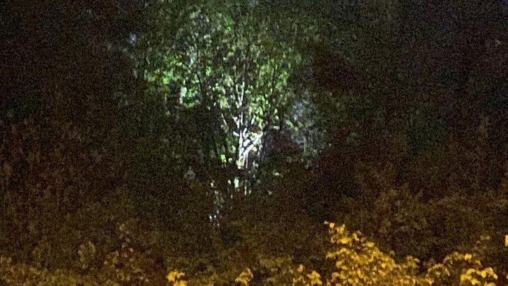 Zonguldak'ta korkunç olay! Kayıp olan gencin cansız bedeni ağaca asılı halde bulundu
