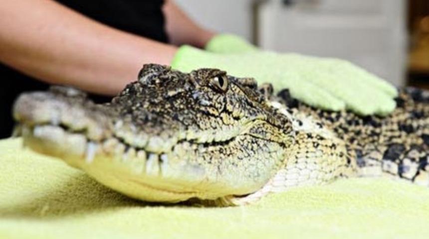 G&uuml;zellikte Son Nokta!