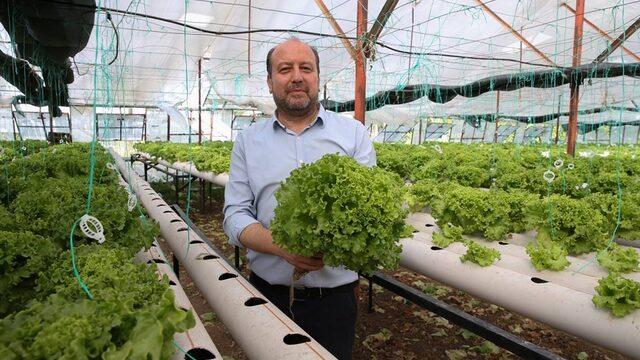 Uçak mühendisiyken üretici oldu: 20 yıllık işini bırakıp topraksız marul üretiyor