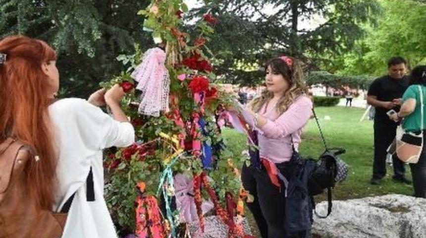 Hıdırellez dileği ne zaman yapılır? Hıdırellez gül ağacı dileği nasıl yapılır? Dilek duası ve ritüelleri!