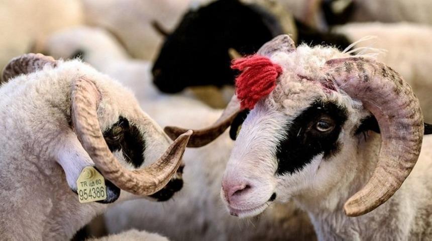 Kurban Bayramı ne zaman, hangi g&uuml;n? 2022 Kurban Bayramı ayın ka&ccedil;ında? Bayram tatili ka&ccedil; g&uuml;n olacak?