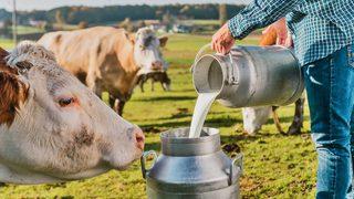 Süte zam geliyor! 6 ayda üçüncü kez toplandılar...