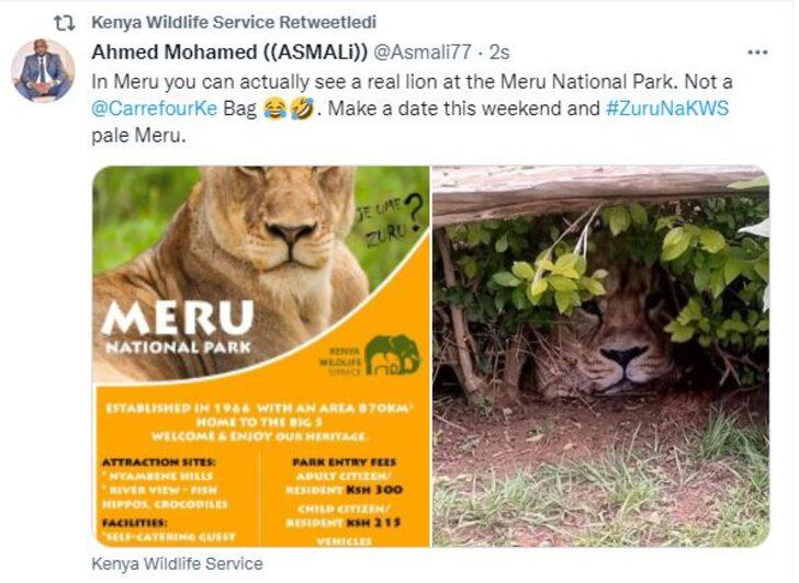 Kenya’da üstünde aslan fotoğrafı olan çanta paniğe neden oldu! Gören polise haber verdi G5