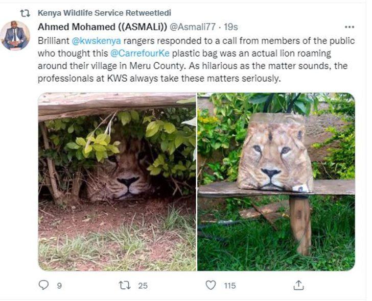 Kenya’da üstünde aslan fotoğrafı olan çanta paniğe neden oldu! Gören polise haber verdi G4