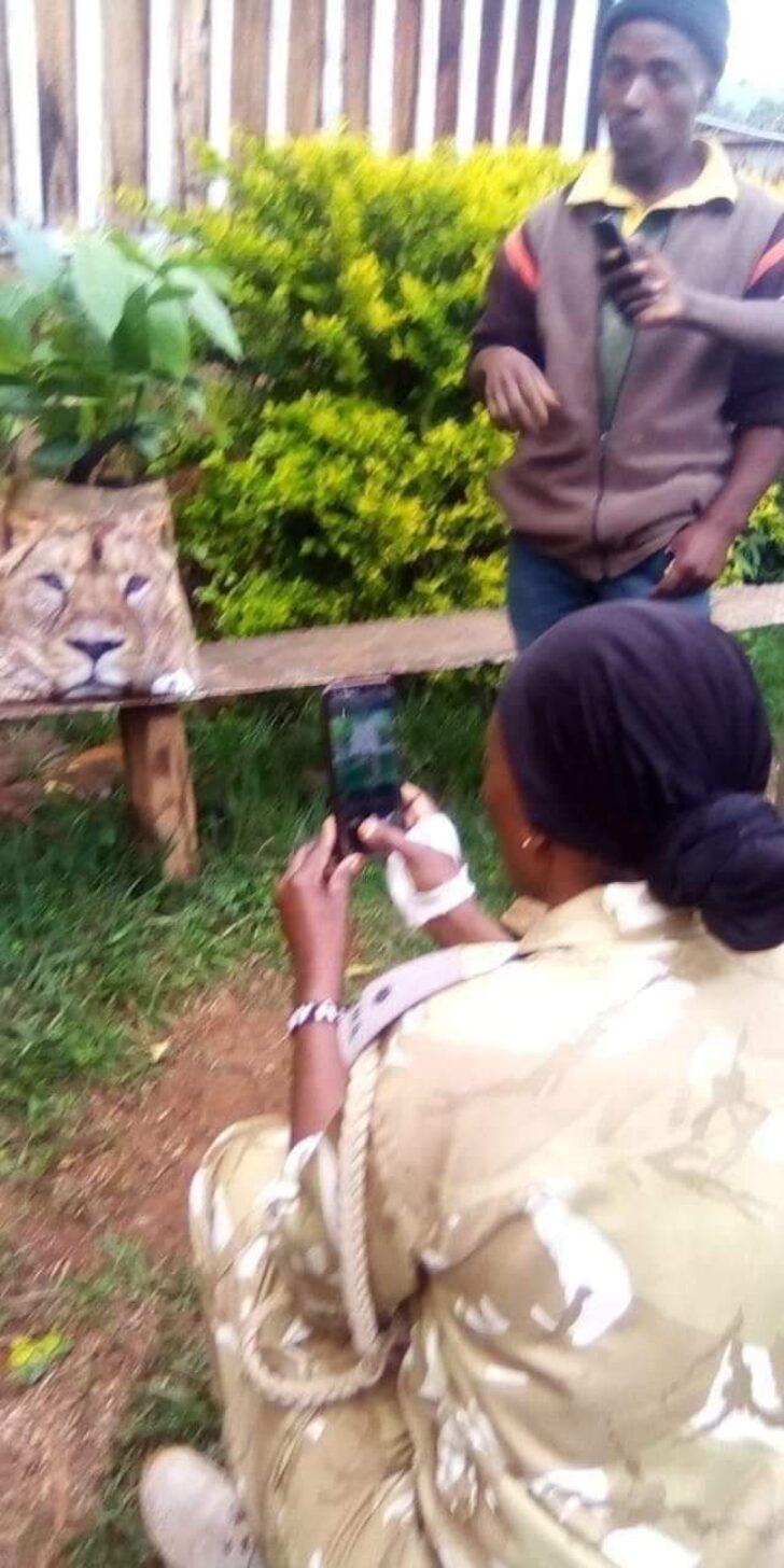 Kenya’da üstünde aslan fotoğrafı olan çanta paniğe neden oldu! Gören polise haber verdi G3