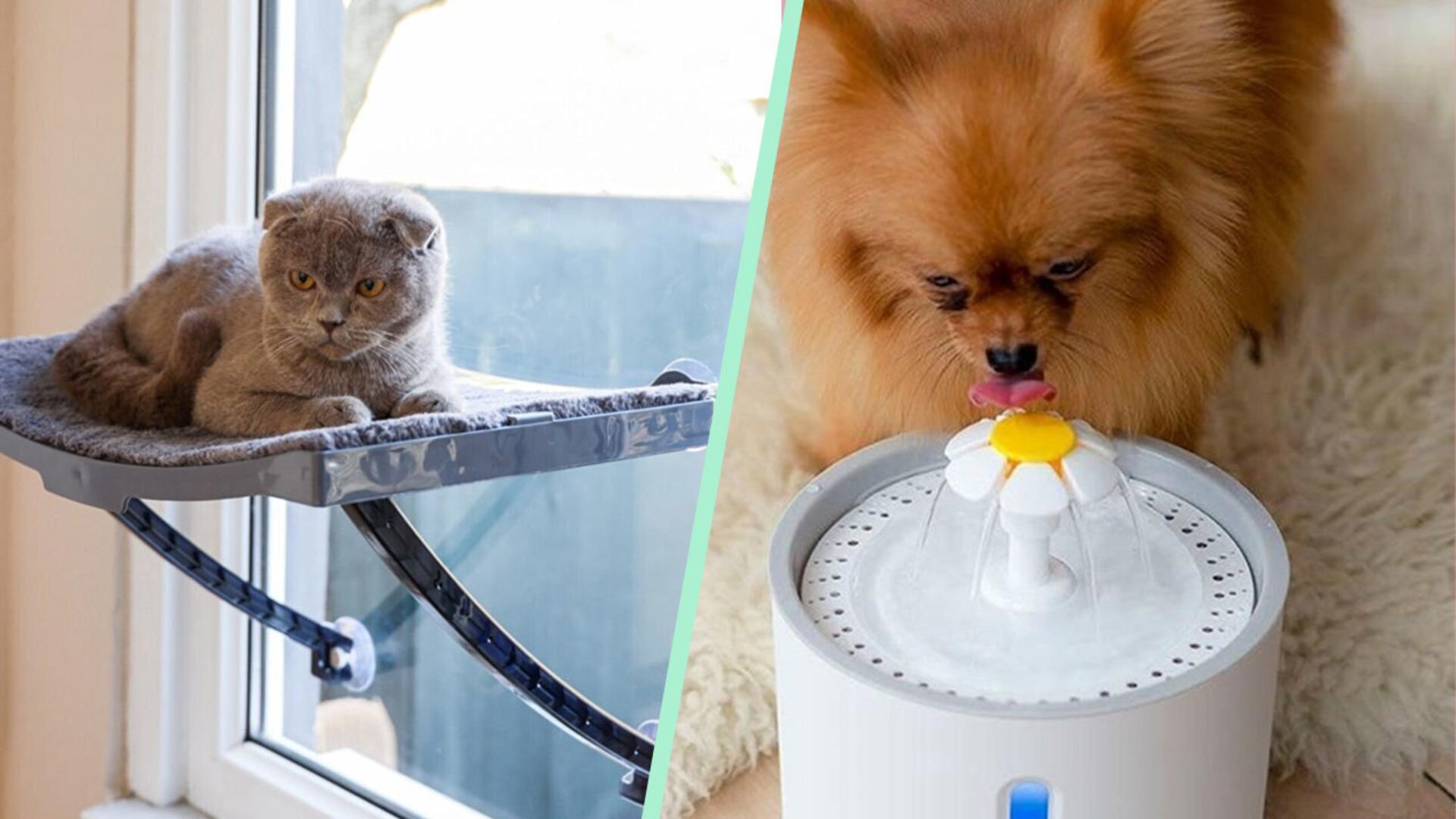 Eğer evinizi ele geçiren bir evcil hayvanınız varsa bu ürünlere kesinlikle ihtiyacınız olacak