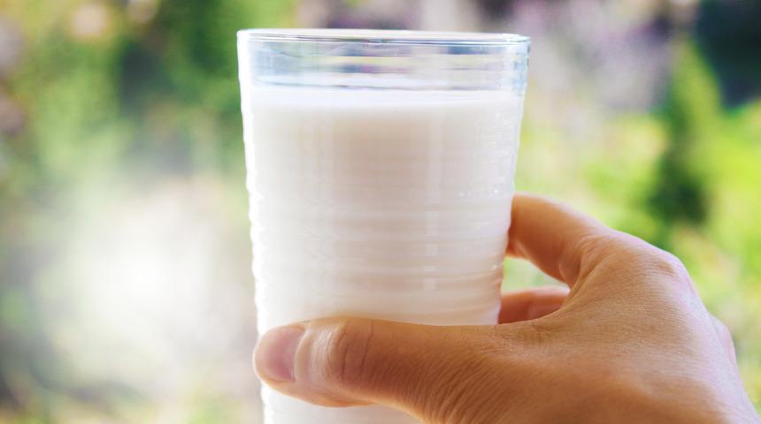 Süt ürünleri ile kanser riski arasında 'doğrudan bağlantı' olduğu öne sürüldü