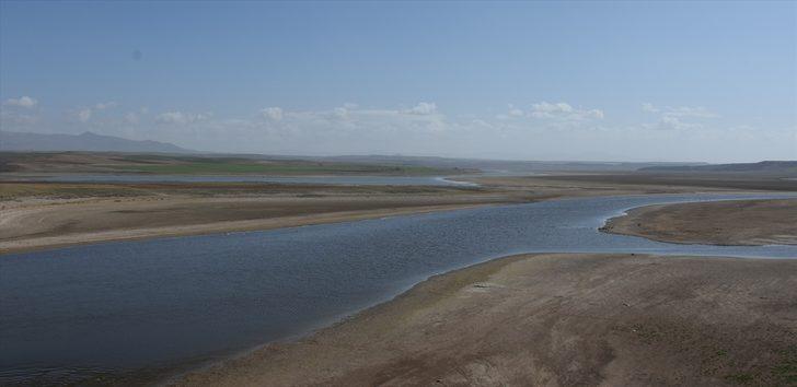 Orta Kızılırmak Vadisi'nde yüksek verimli 25 kuru fasulye çeşidi adayı belirlendi G4