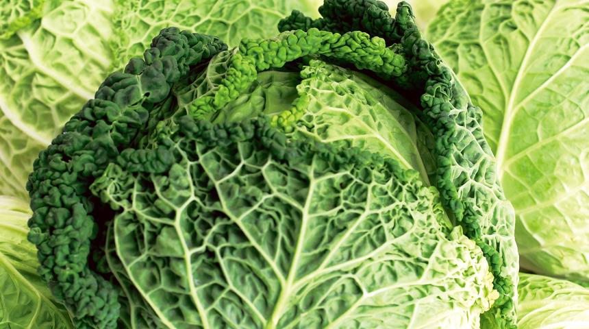 Karaciğeri pırıl pırıl yapar, kilo vermeyi hızlandırır! Muhteşem karaciğer detoksu