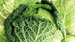 Karaciğeri pırıl pırıl yapar, kilo vermeyi hızlandırır! Muhteşem karaciğer detoksu