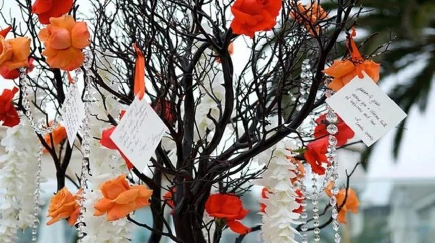 Hıdırellez günü ne zaman dilek dilenir? Hıdırellez dilekleri nasıl yazılır? İşte gül ağacına dilek gömerken yapılması gerekenler...