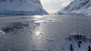 Antarktika'da keşfedildi! İlk defa büyük miktarda...