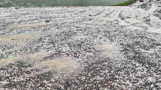 Mayıs ayında beyaza büründü... 1 kişi yaralandı!