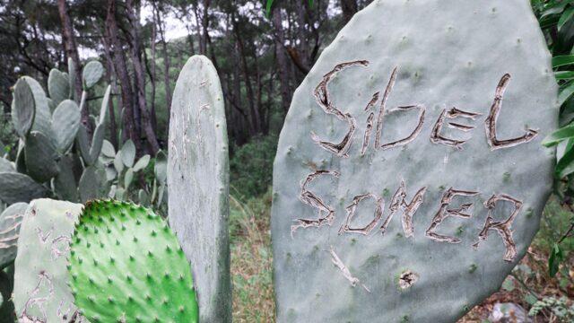 Antalya'da antik kentin kaktüslerine 'aşk' tahribatı! Aşklarının ölümsüz olacağına inanıyorlar: Bu nasıl mantık