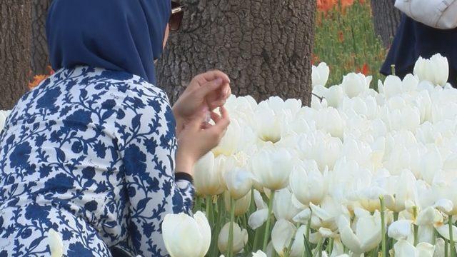 Emirgan'da pes dedirten görüntü! Hep ezdiler hem fotoğraf çektirdiler: Herkes basmış ben de bastım