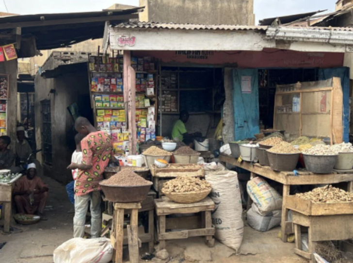 Köle pazarı olarak kurulmuştu! Batı Afrika’nın 600 yıllık Kurmi Çarşısı renkli görüntüler yarattı G5