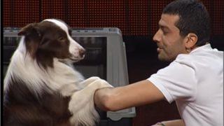 Yetenek Sizsiniz Türkiye'de şampiyon olunca horon tepmişti! Ali Yeşilırmak ve Max şimdilerde ne yapıyor?