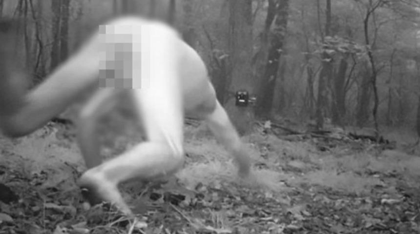 Kendini kaplan sanan &ccedil;ıplak adam ormana daldı