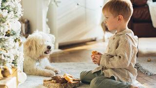 Evcil hayvanlardan bulaşma ihtimali olabilir! 