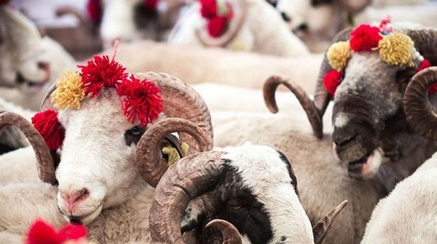 KURBAN BAYRAMI TATİLİ! Kurban Bayramı ne zaman? Kurban Bayramı tatili kaç gün olacak? 