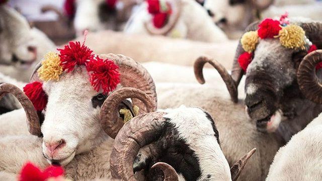 KURBAN BAYRAMI TATİLİ! Kurban Bayramı ne zaman? Kurban Bayramı tatili kaç gün olacak? 