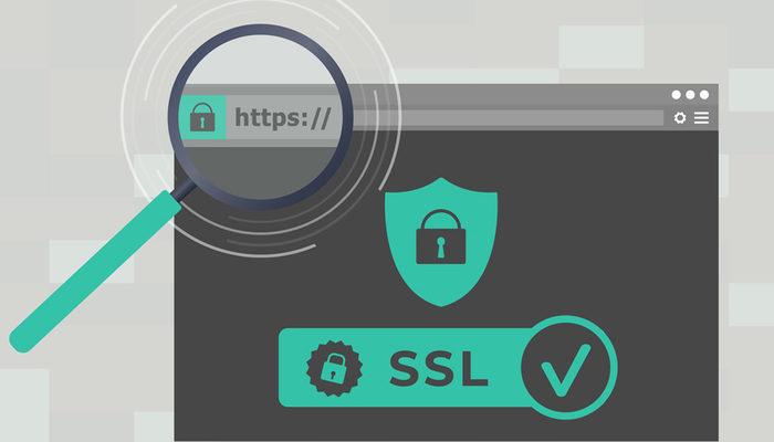 SSL ne demek? SSL açılımı nedir?
