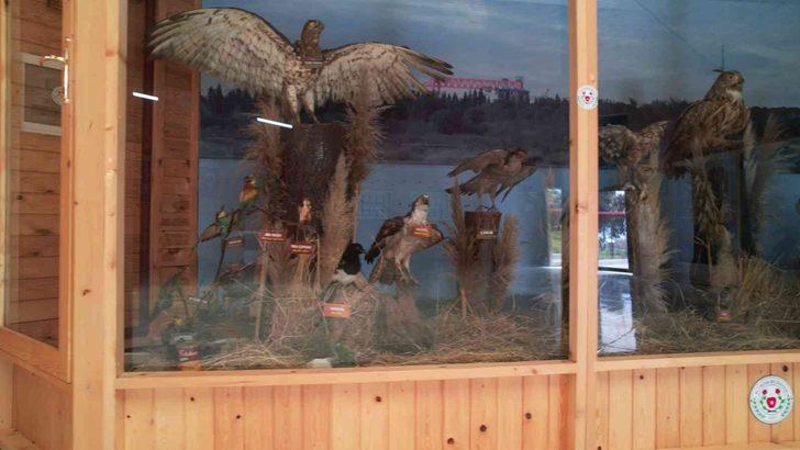 Yalova’nın Hersek Lagünü'nde kuş müzesi kurulacak! Çalışmalar hız kazandı G5