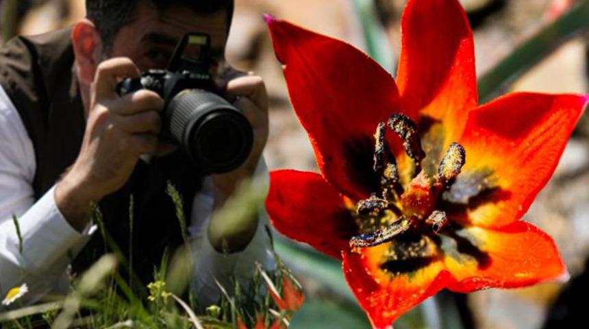 Yılda bir kez görülüyor! Yapan yandı, cezası 109 bin lira